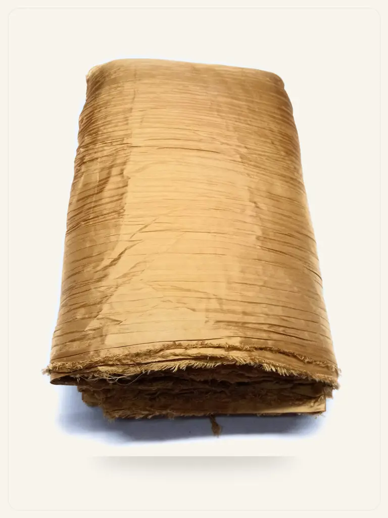 Ethnic Crop Top Skirt Set - model studio photo