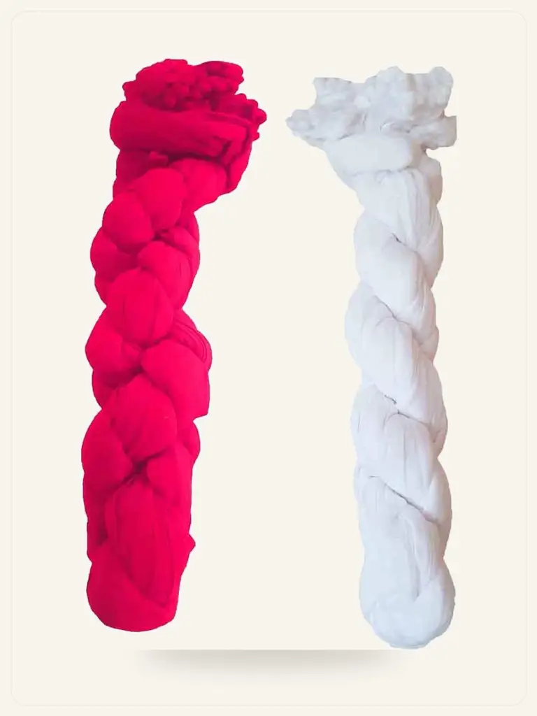 Phulkari Embroidered Dupatta - model studio photo